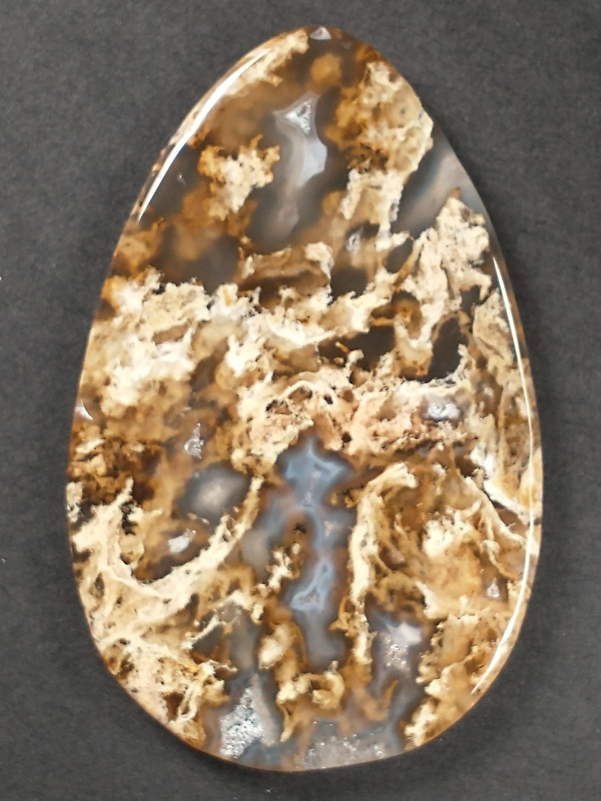 Plume Agate Cabochon Large