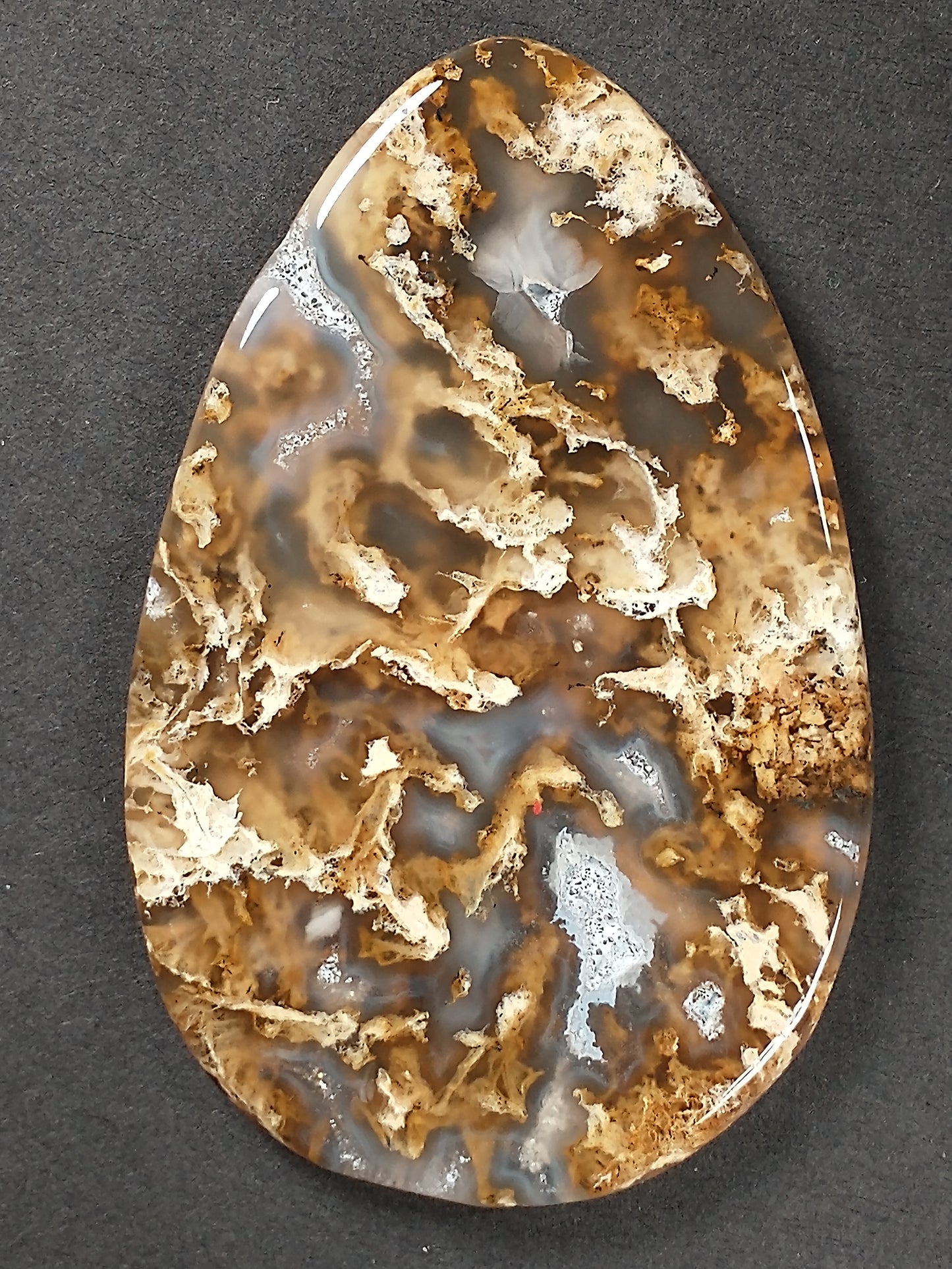 Plume Agate Cabochon Large