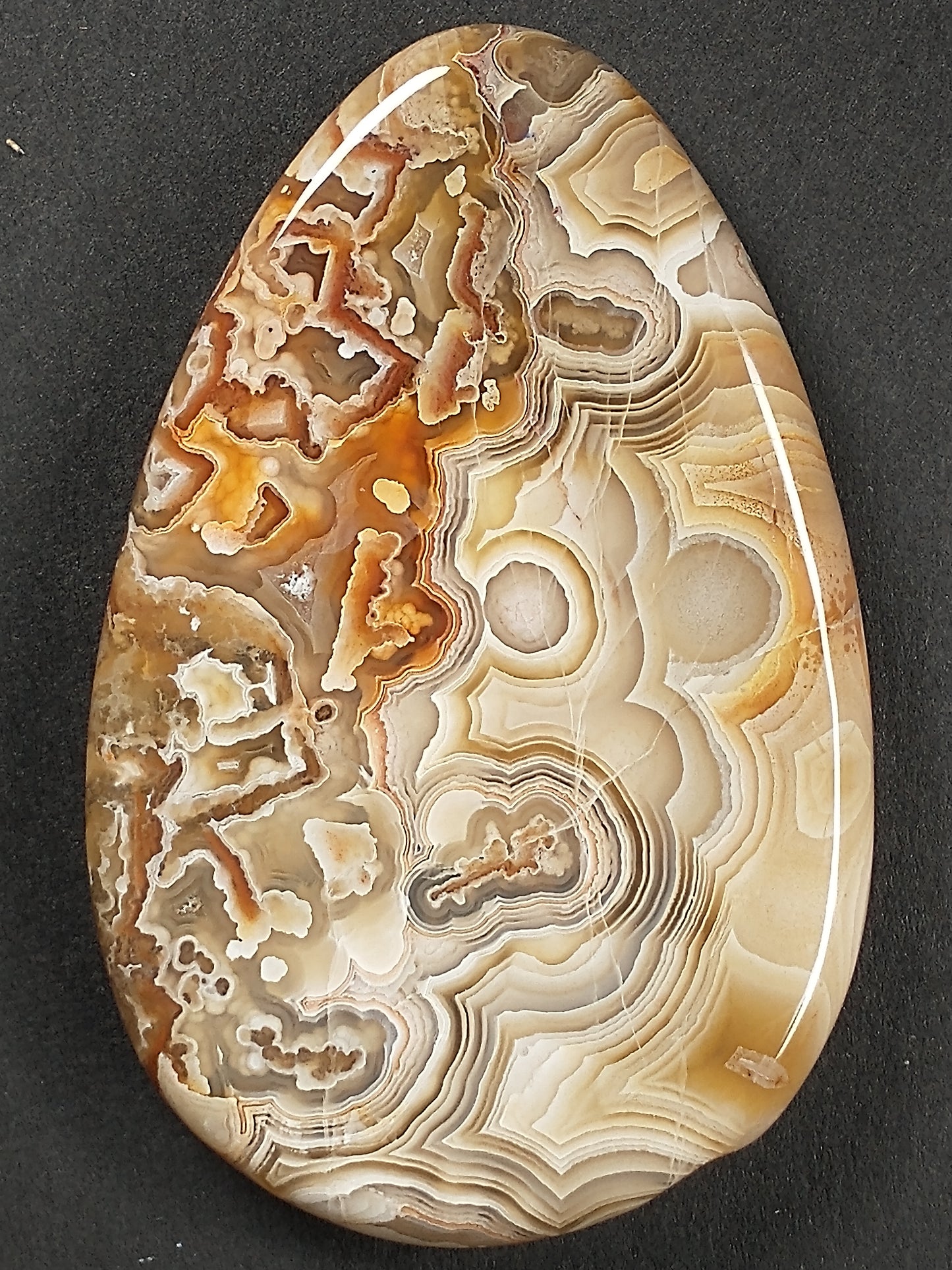 Crazy Lace Agate Cabochon Large