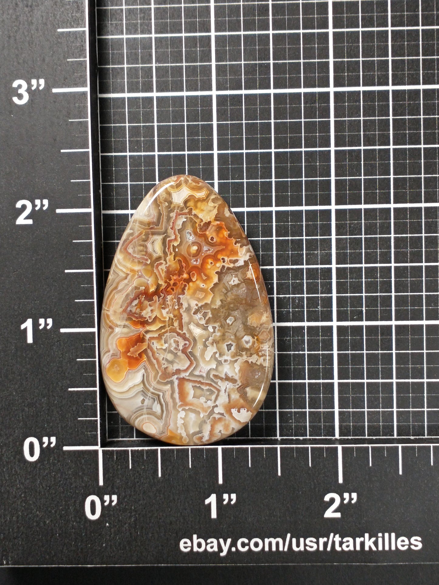 Crazy Lace Agate Cabochon Large