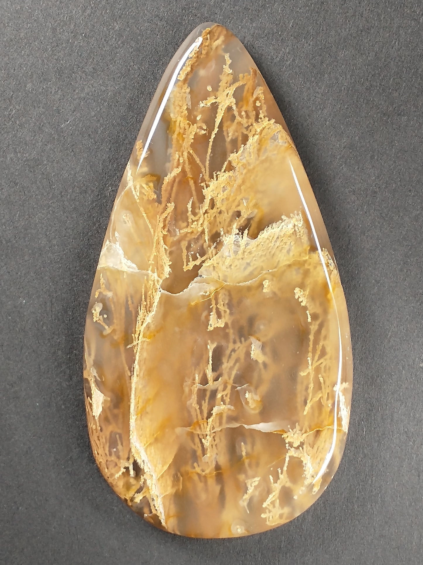 Plume Agate Cabochon X Large