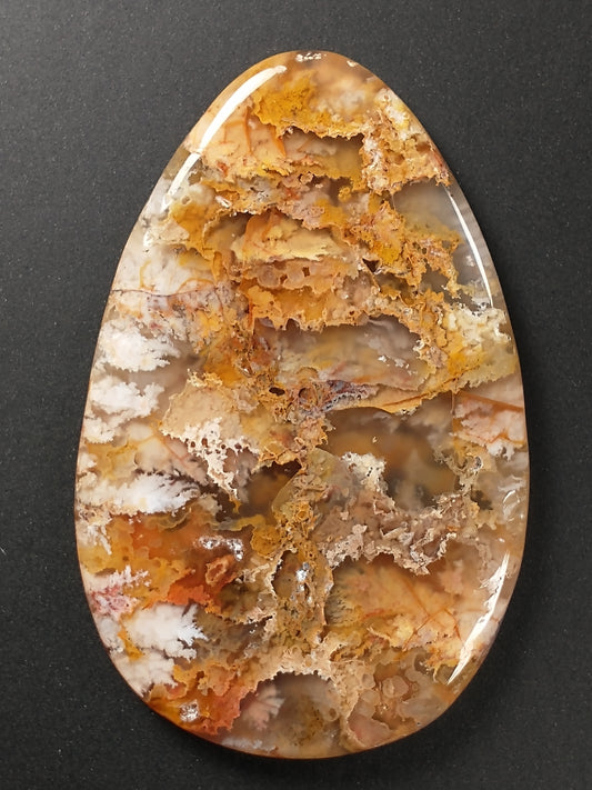 Plume Agate Cabochon Large