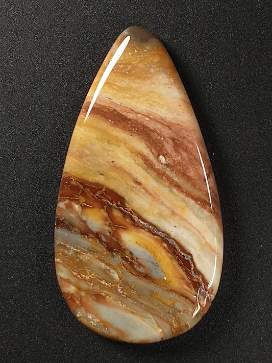 Petrified Wood Cabochon Medium