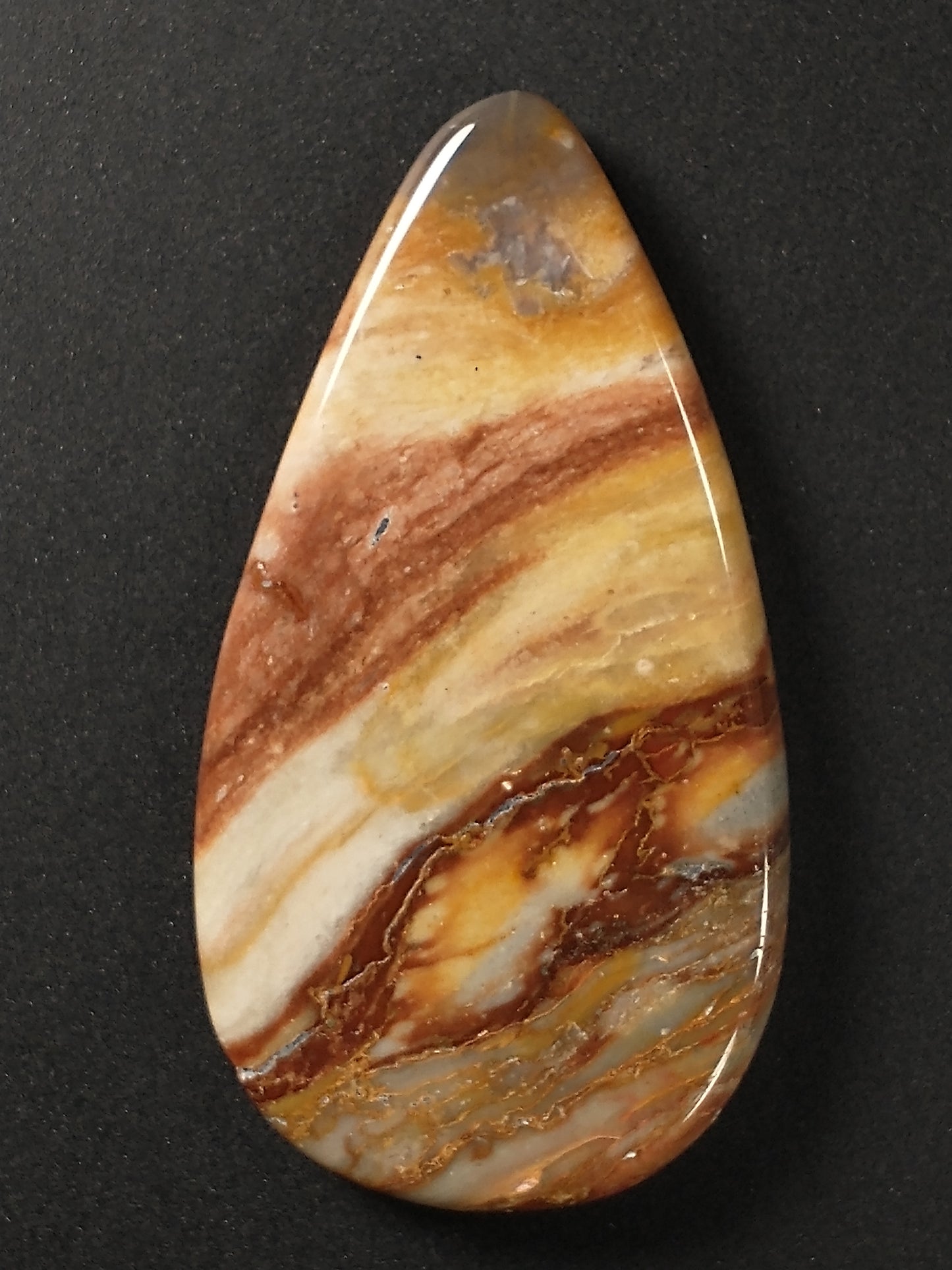 Petrified Wood Cabochon Medium