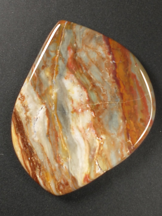 Petrified Wood Cabochon Large