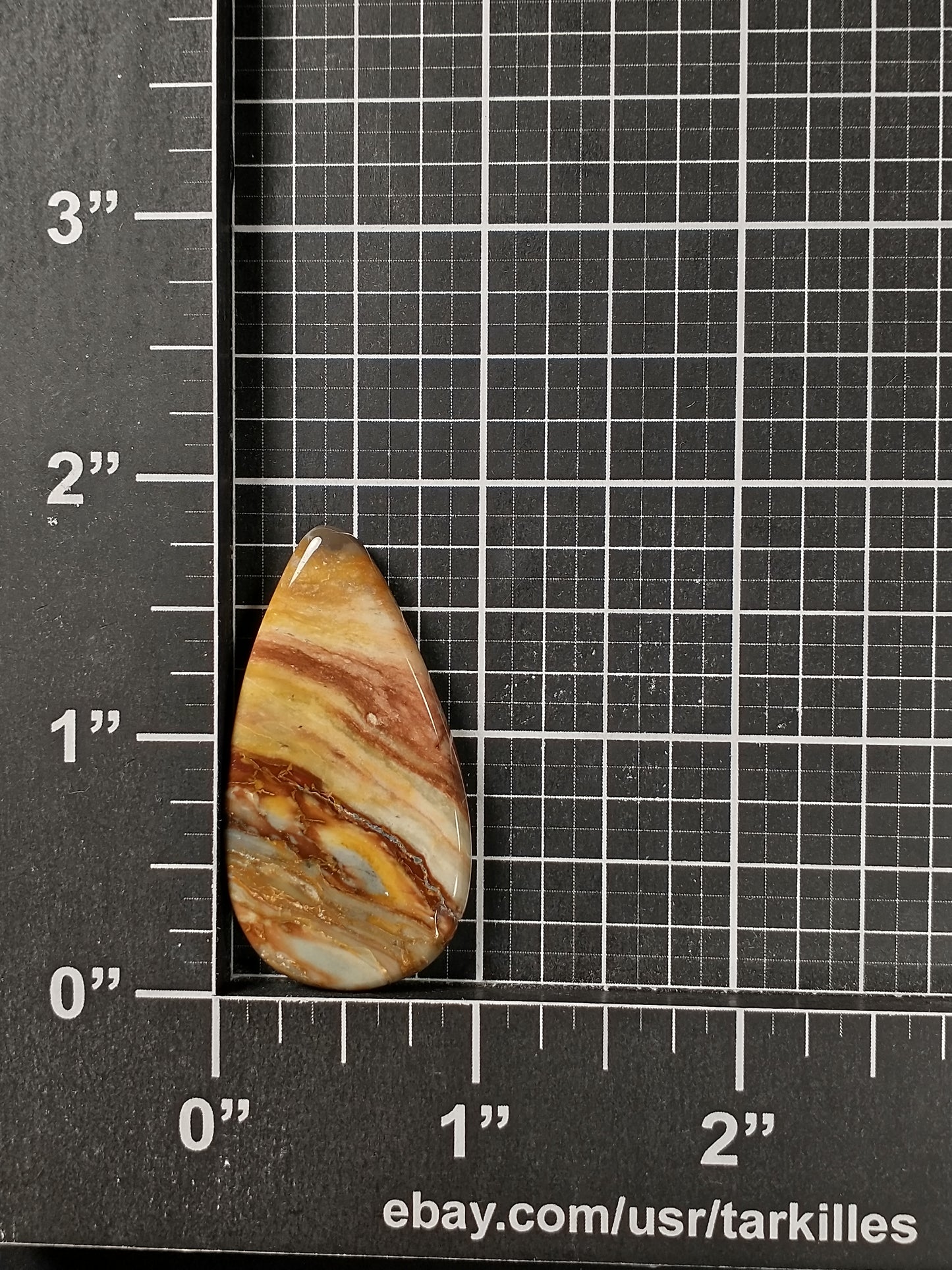 Petrified Wood Cabochon Medium