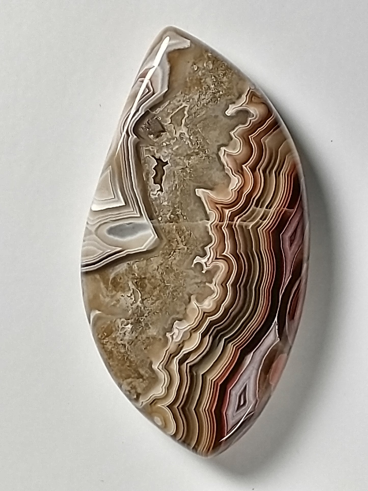 Crazy Lace Agate Cabochon Medium