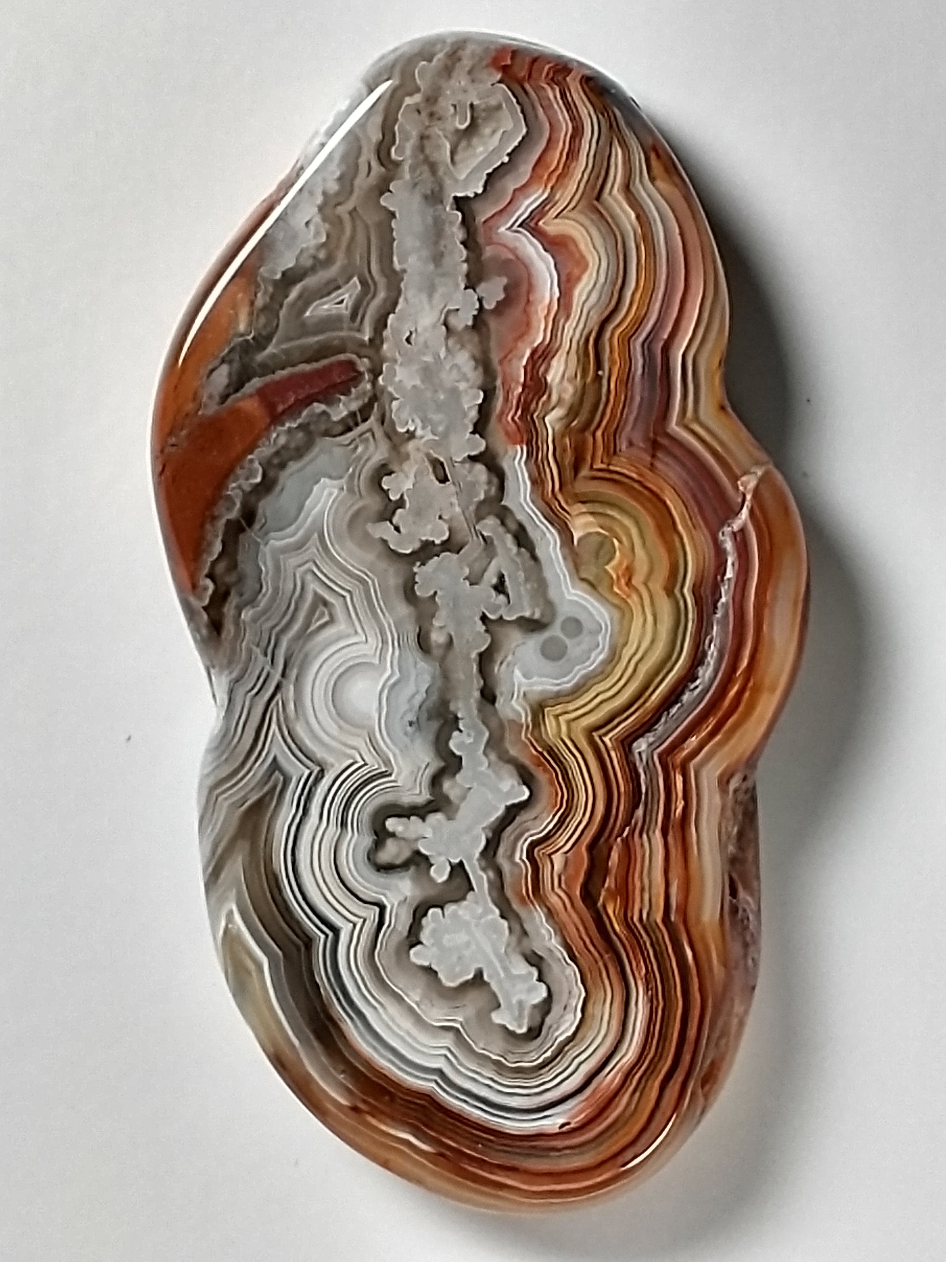 Crazy Lace Agate Cabochon Large