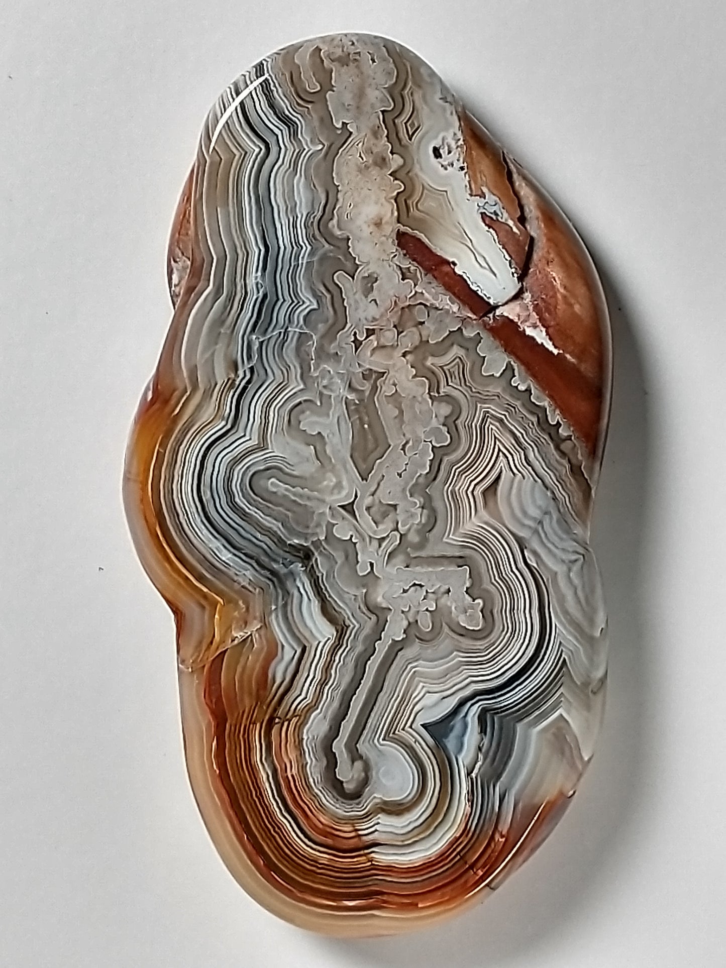 Crazy Lace Agate Cabochon Large