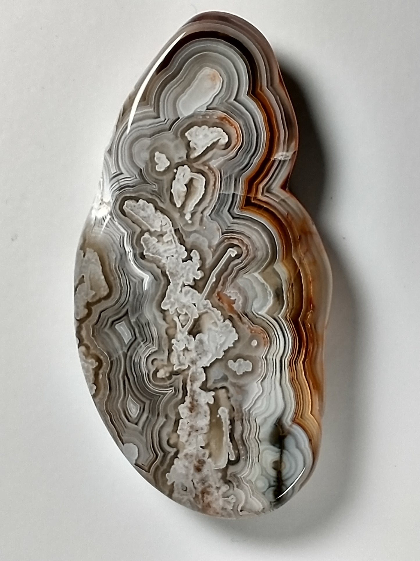 Crazy Lace Agate Cabochon X Large