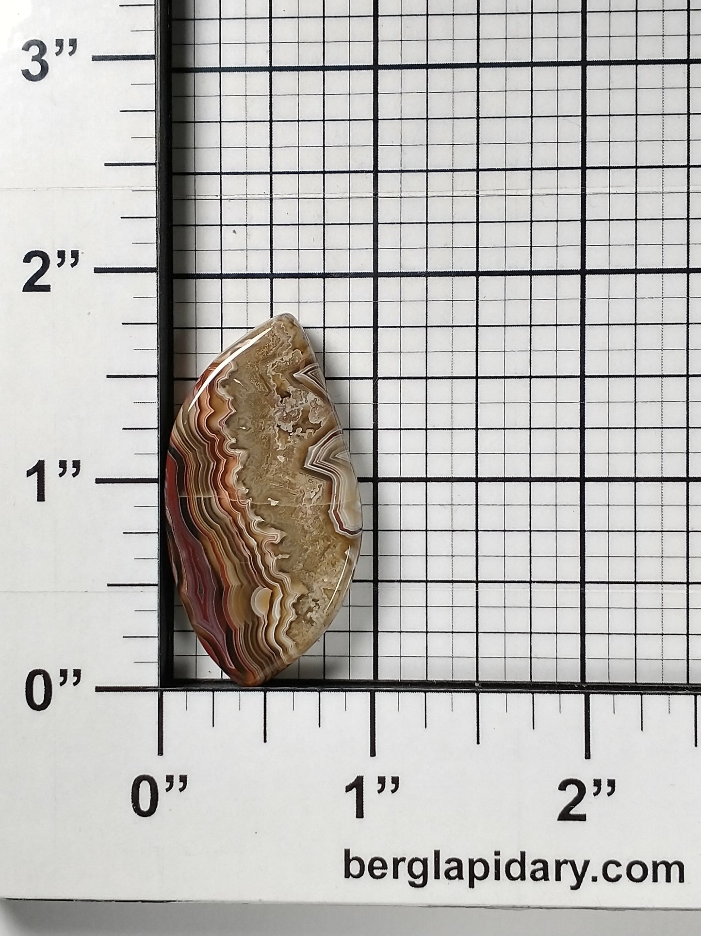 Crazy Lace Agate Cabochon Medium