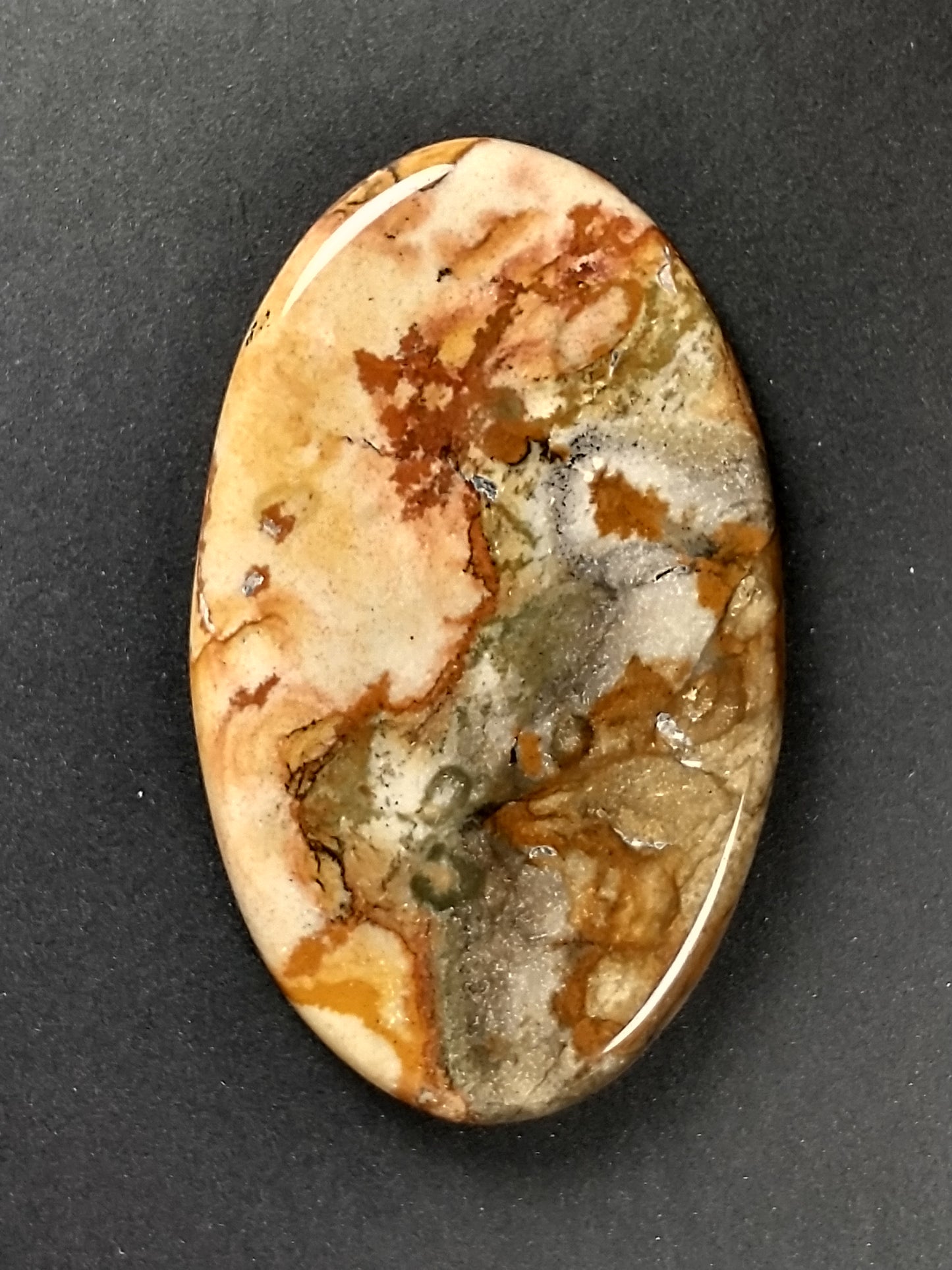 Owyhee Jasper Cabochon Large