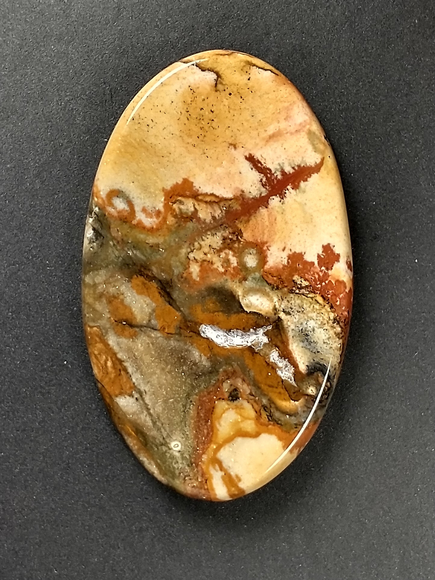 Owyhee Jasper Cabochon Large