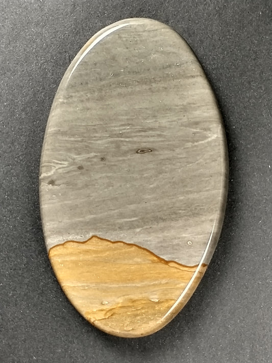 Owyhee Jasper Cabochon Large