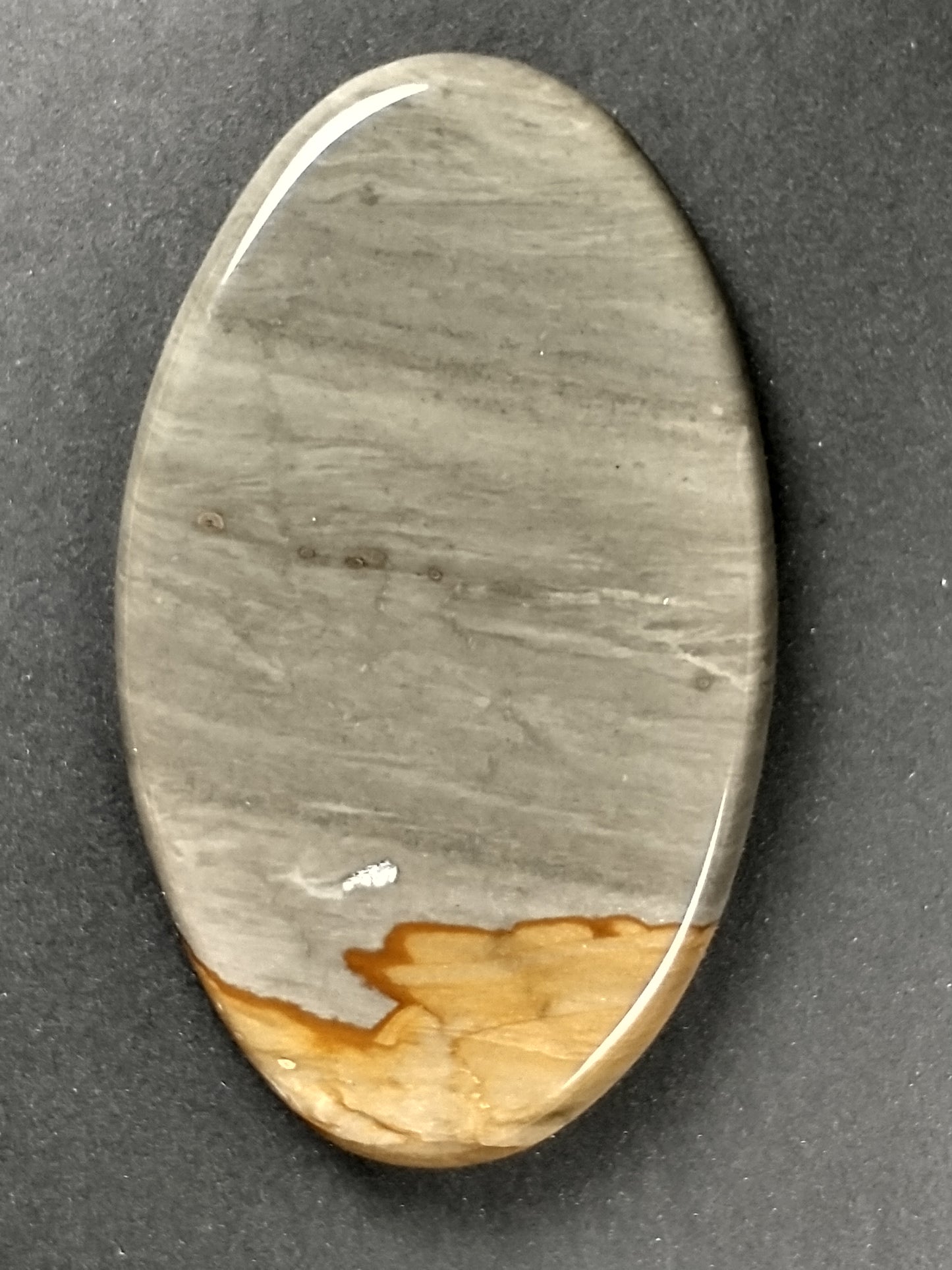 Owyhee Jasper Cabochon Large