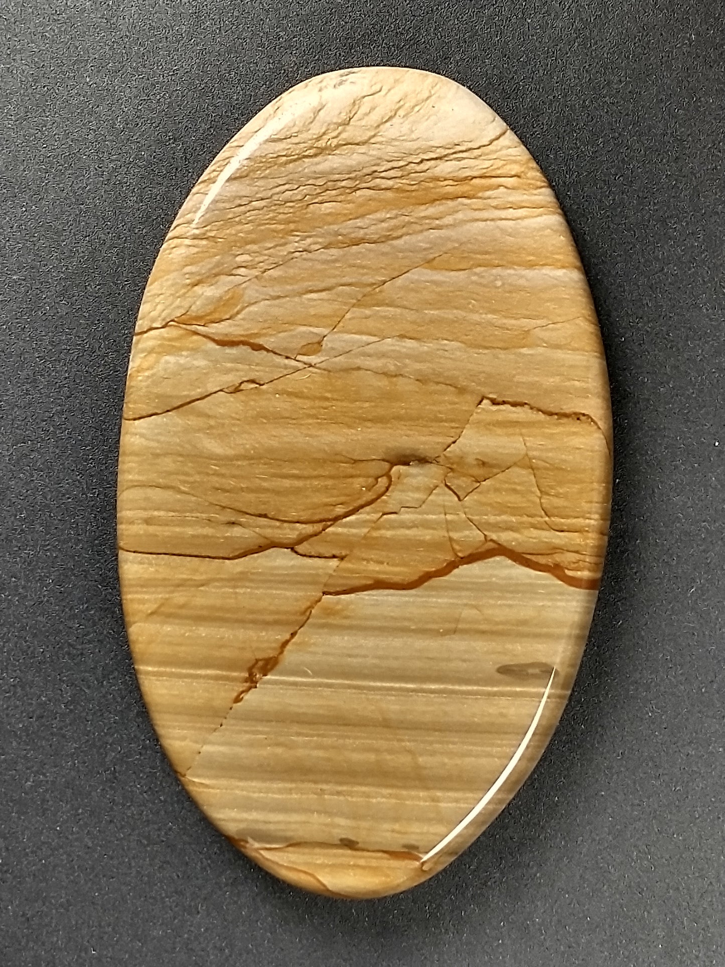 Owyhee Jasper Cabochon Large