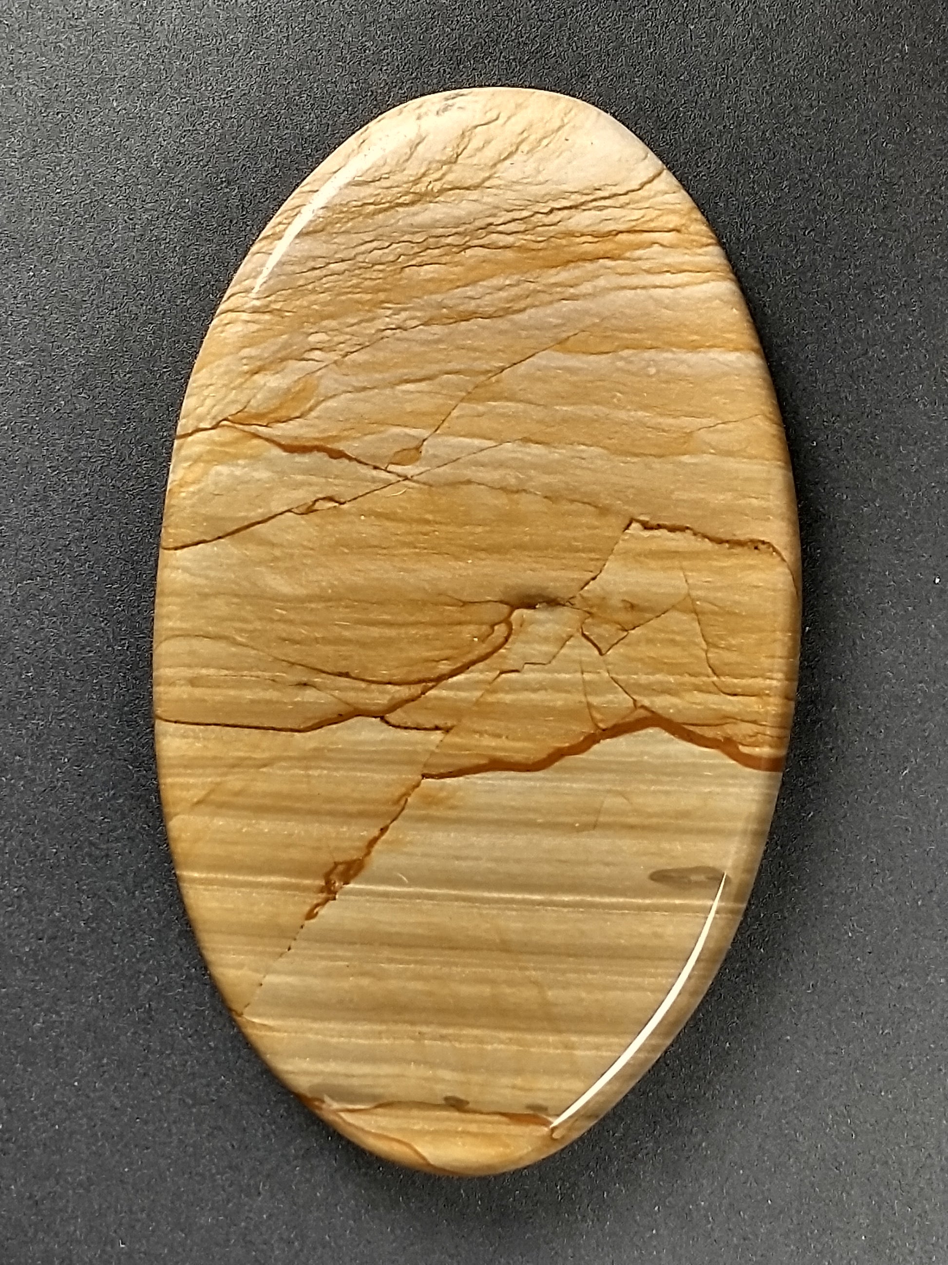 Owyhee Jasper Cabochon Large