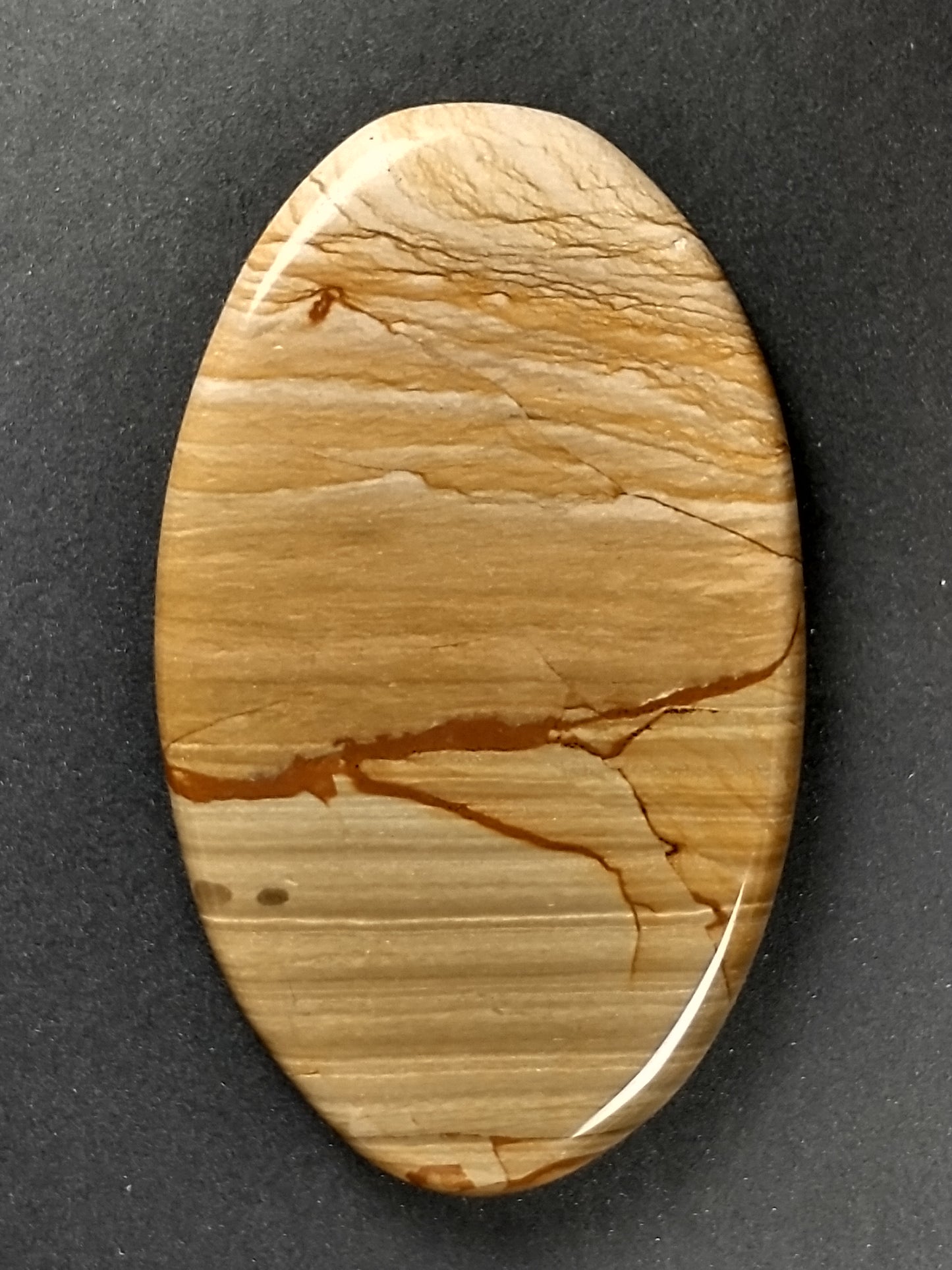 Owyhee Jasper Cabochon Large