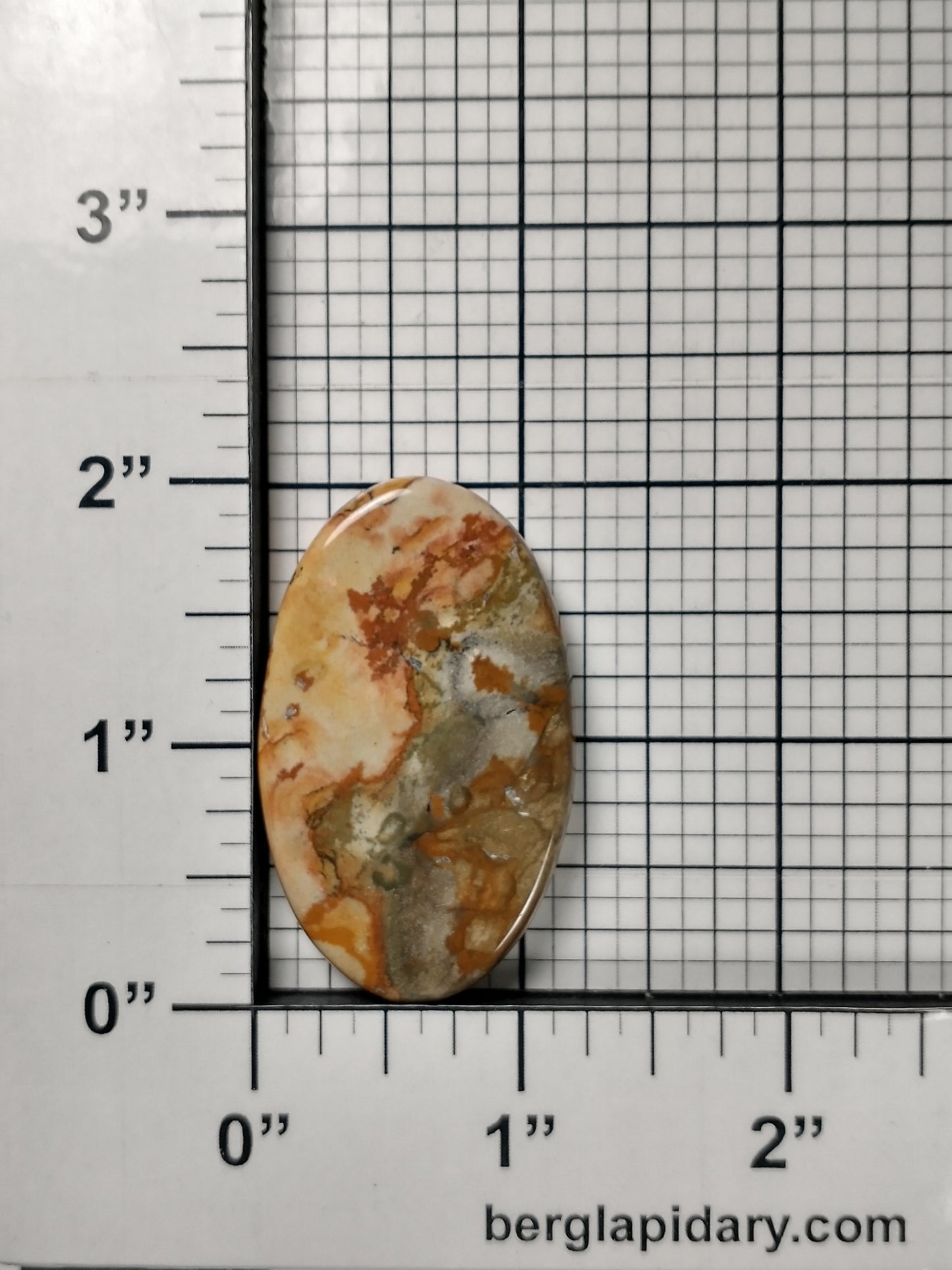 Owyhee Jasper Cabochon Large