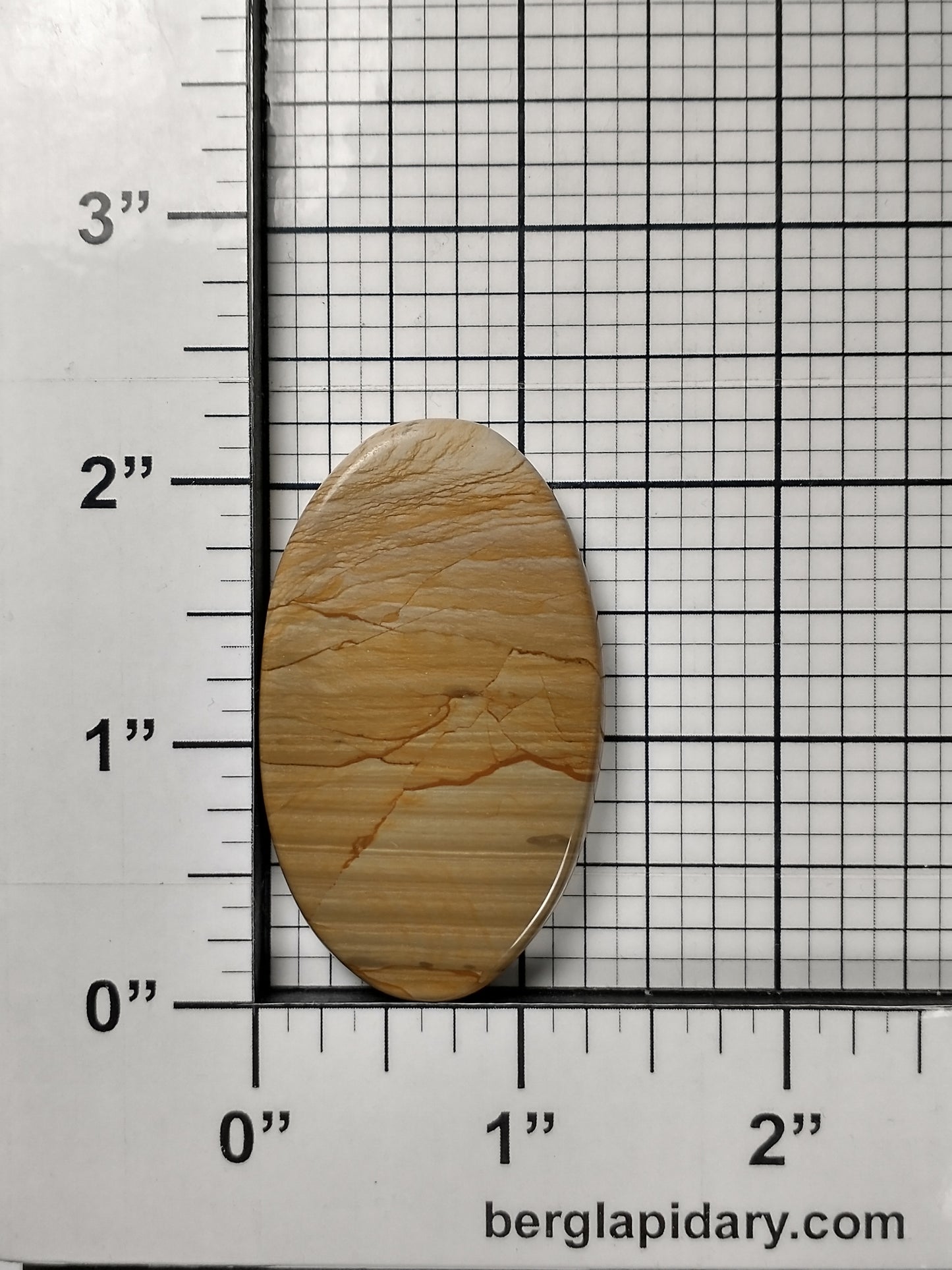 Owyhee Jasper Cabochon Large