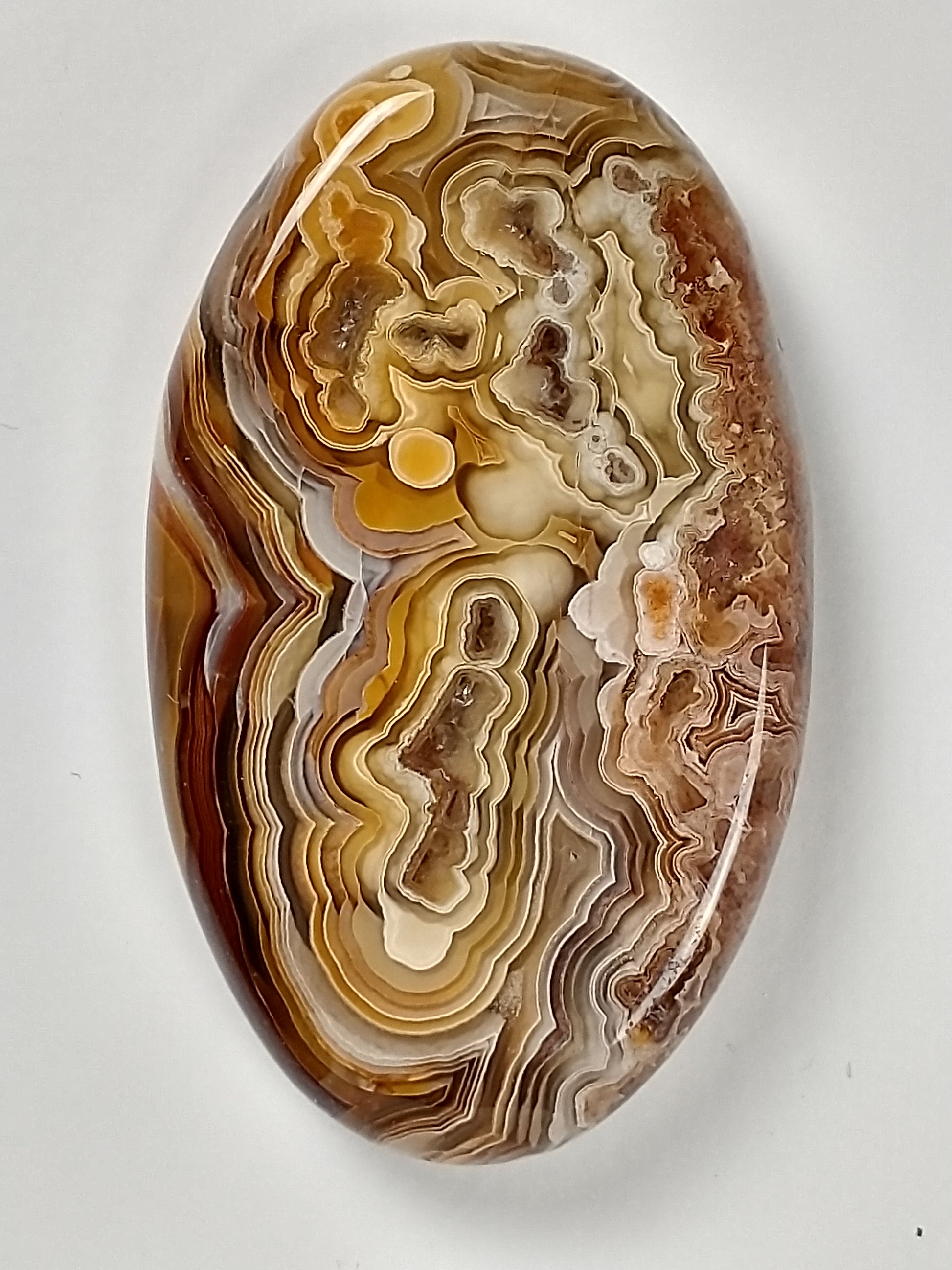 Laguna Lace Agate Cabochon Large