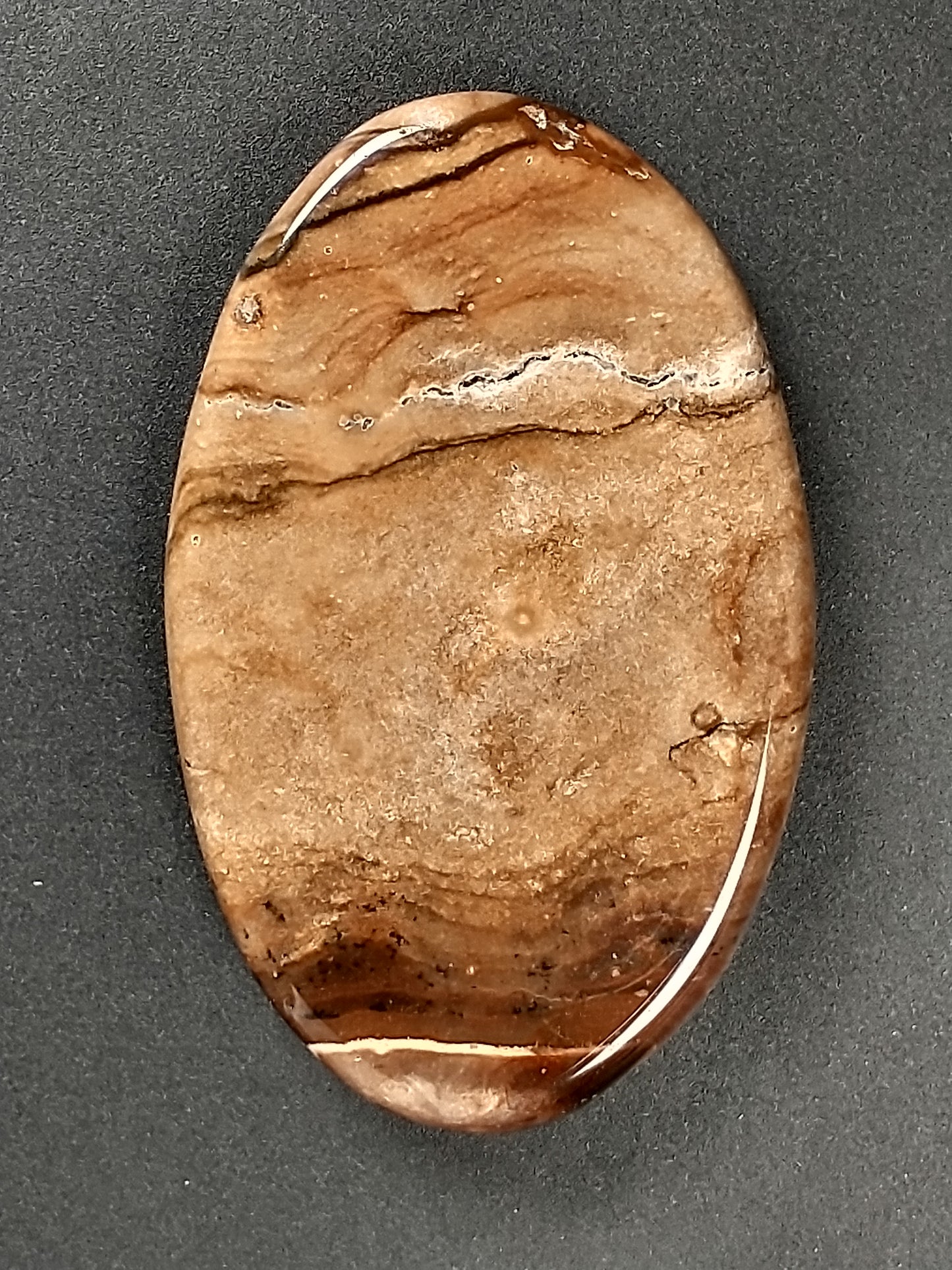 Biggs Jasper Cabochon Medium