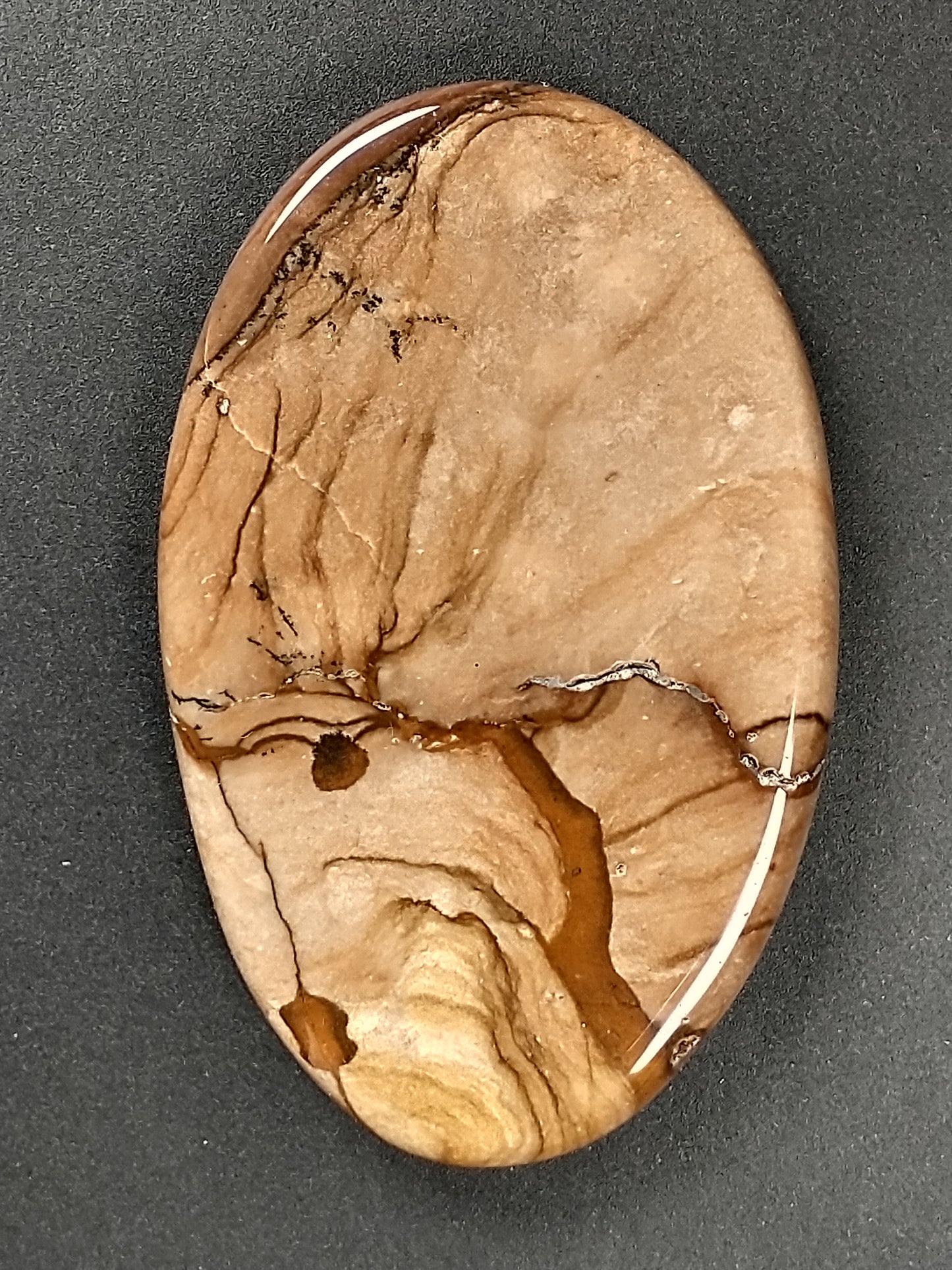 Biggs Jasper Cabochon Medium