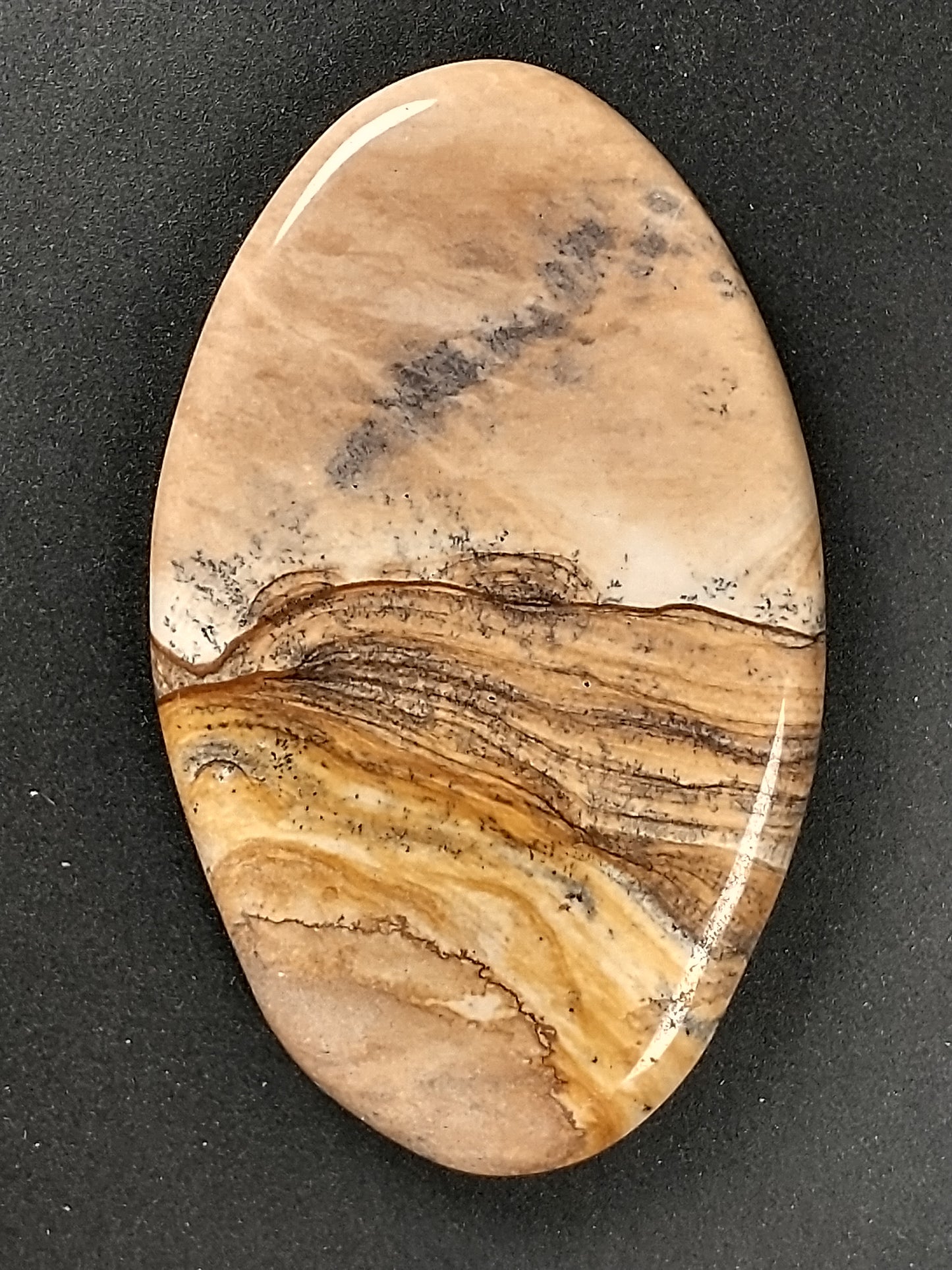 Biggs Jasper Cabochon Medium