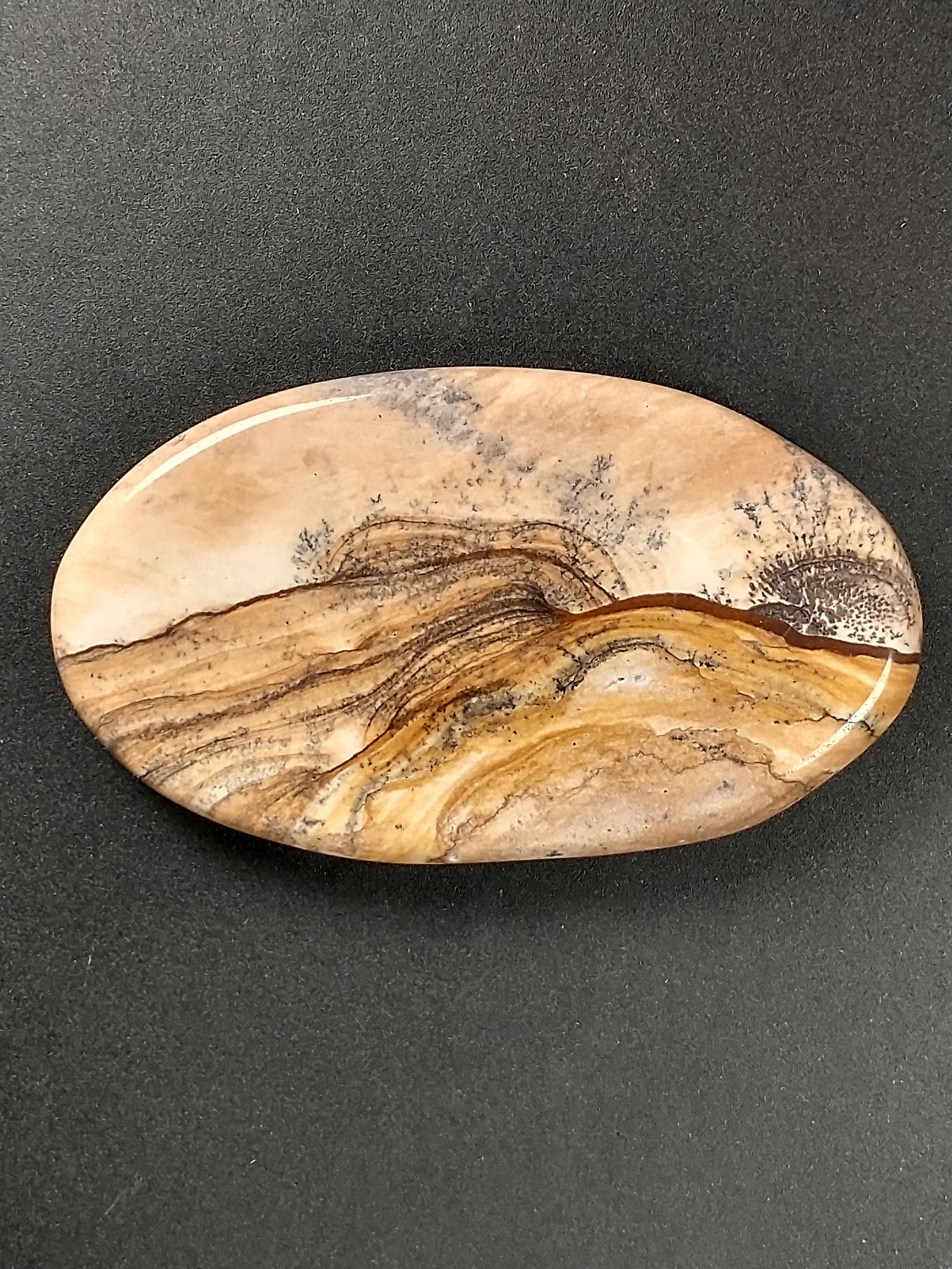 Biggs Jasper Cabochon Medium