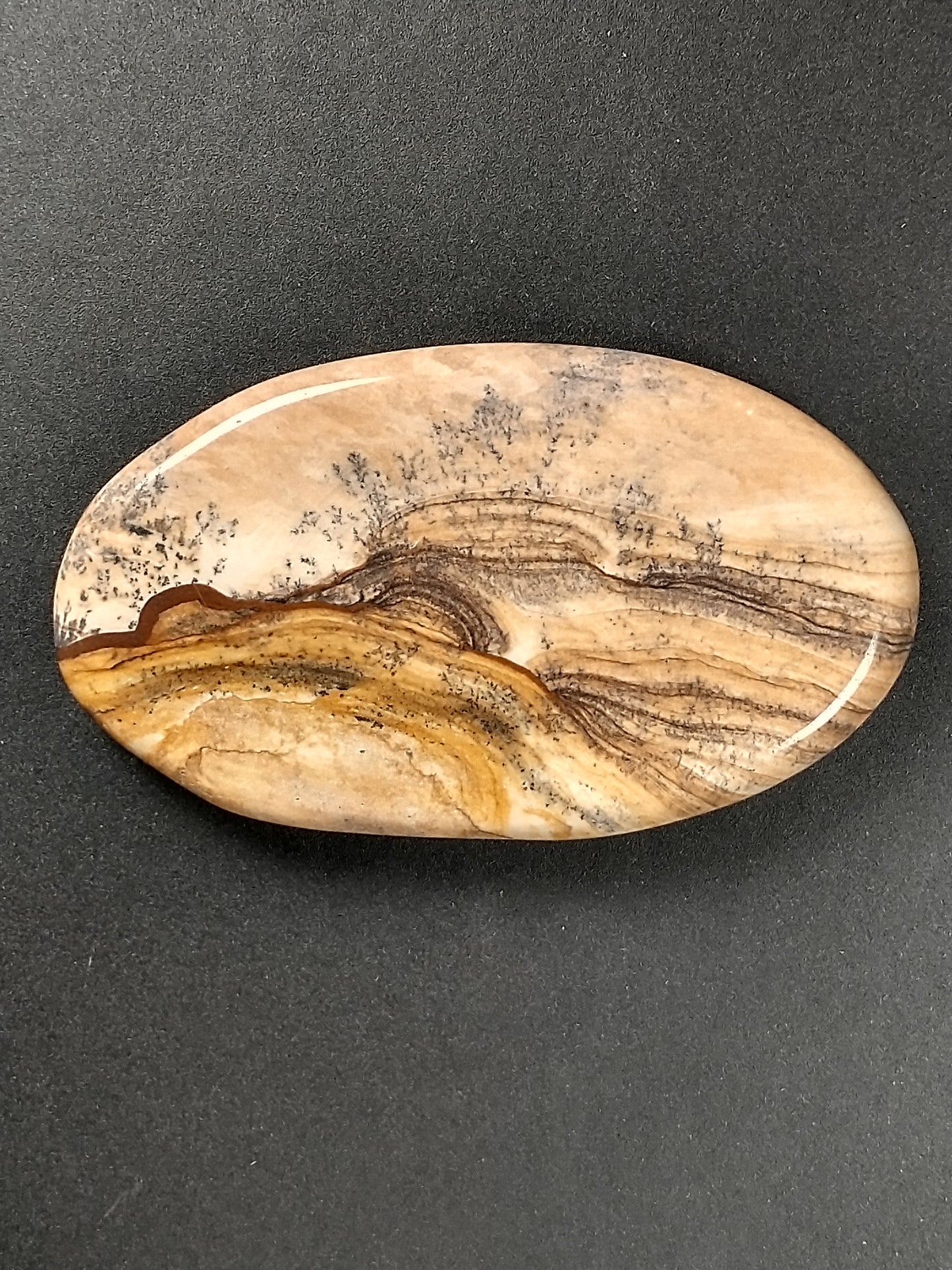 Biggs Jasper Cabochon Medium