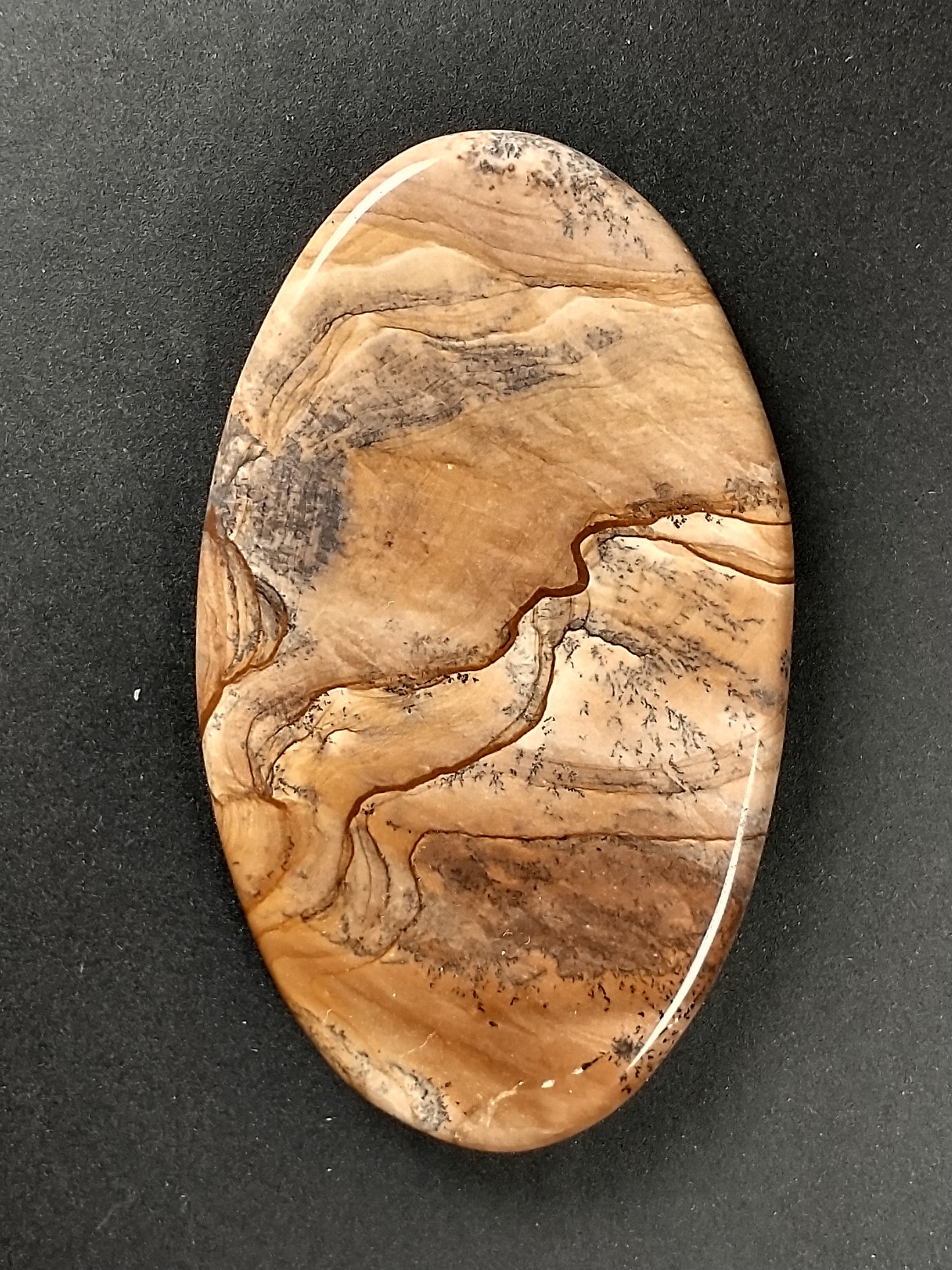 Biggs Jasper Cabochon Large