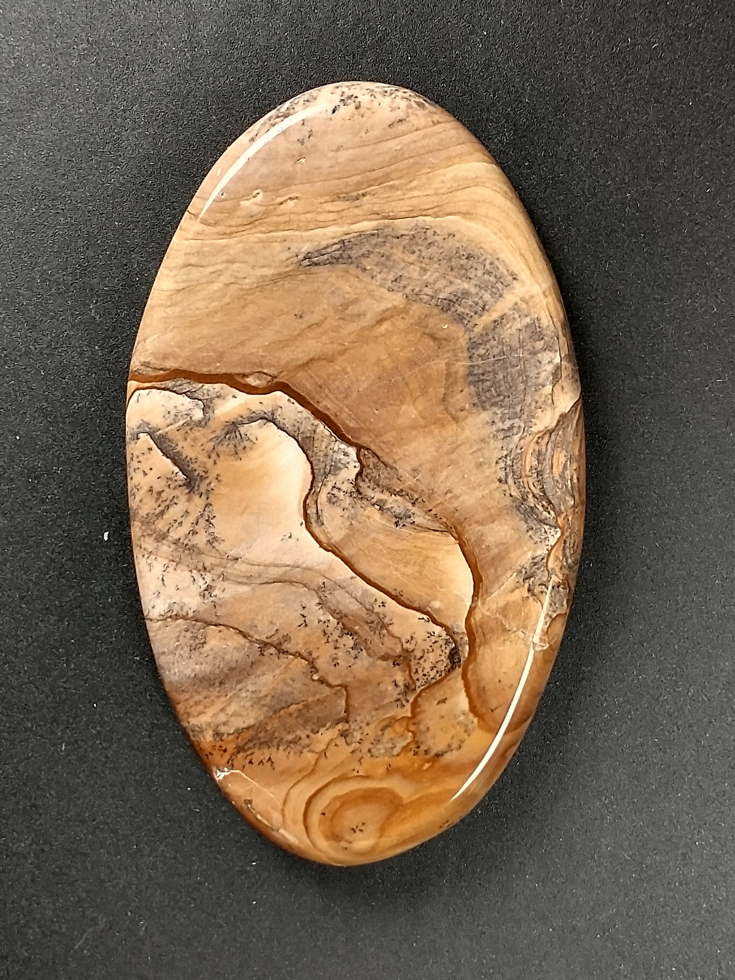 Biggs Jasper Cabochon Large