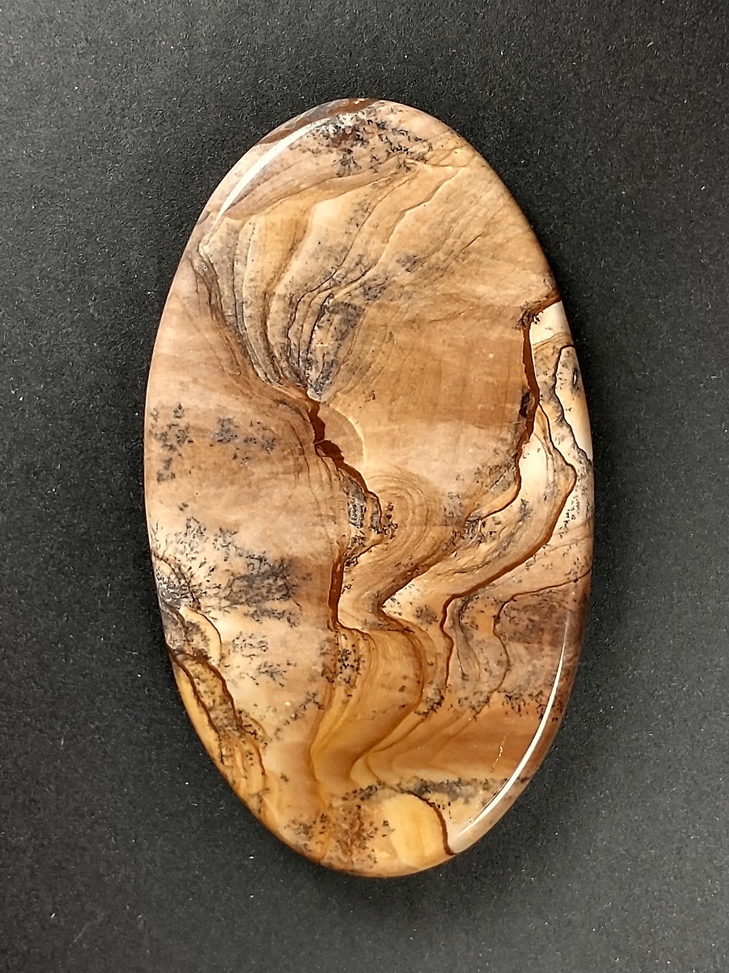 Biggs Jasper Cabochon Large