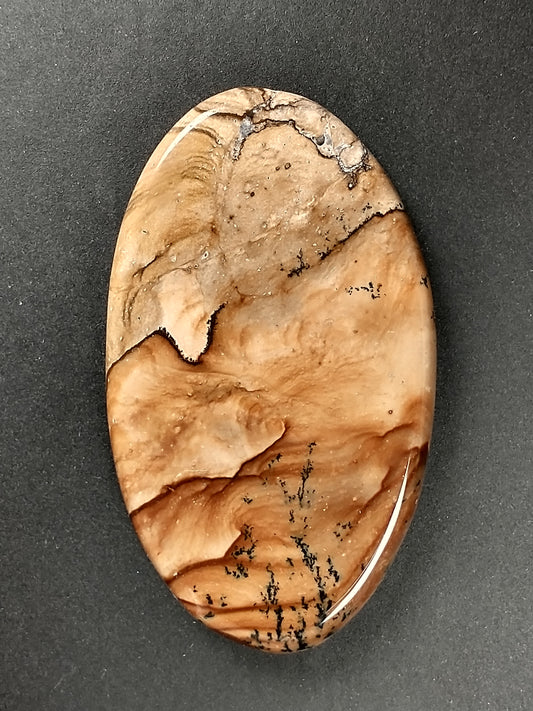 Biggs Jasper Cabochon Large