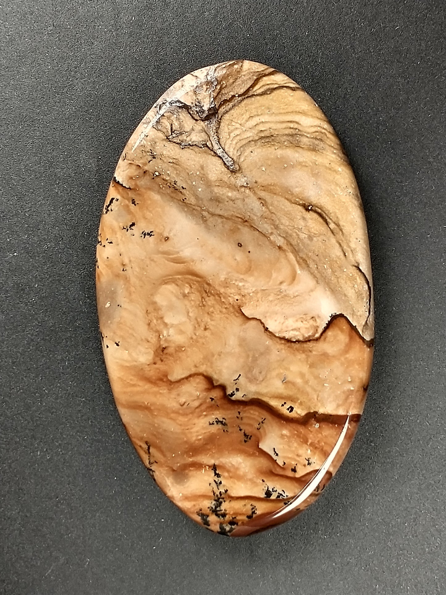 Biggs Jasper Cabochon Large