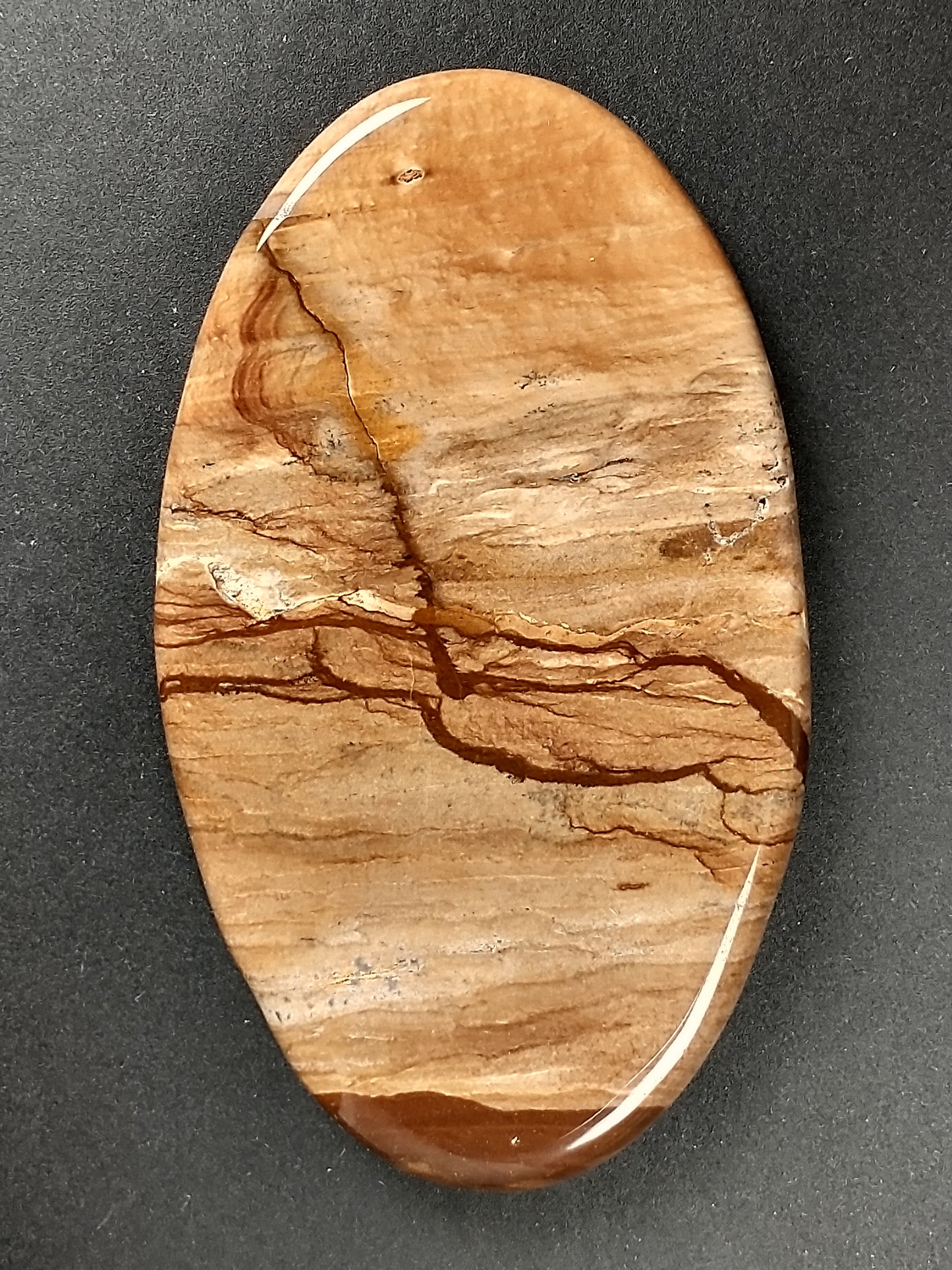 Biggs Jasper Cabochon X Large