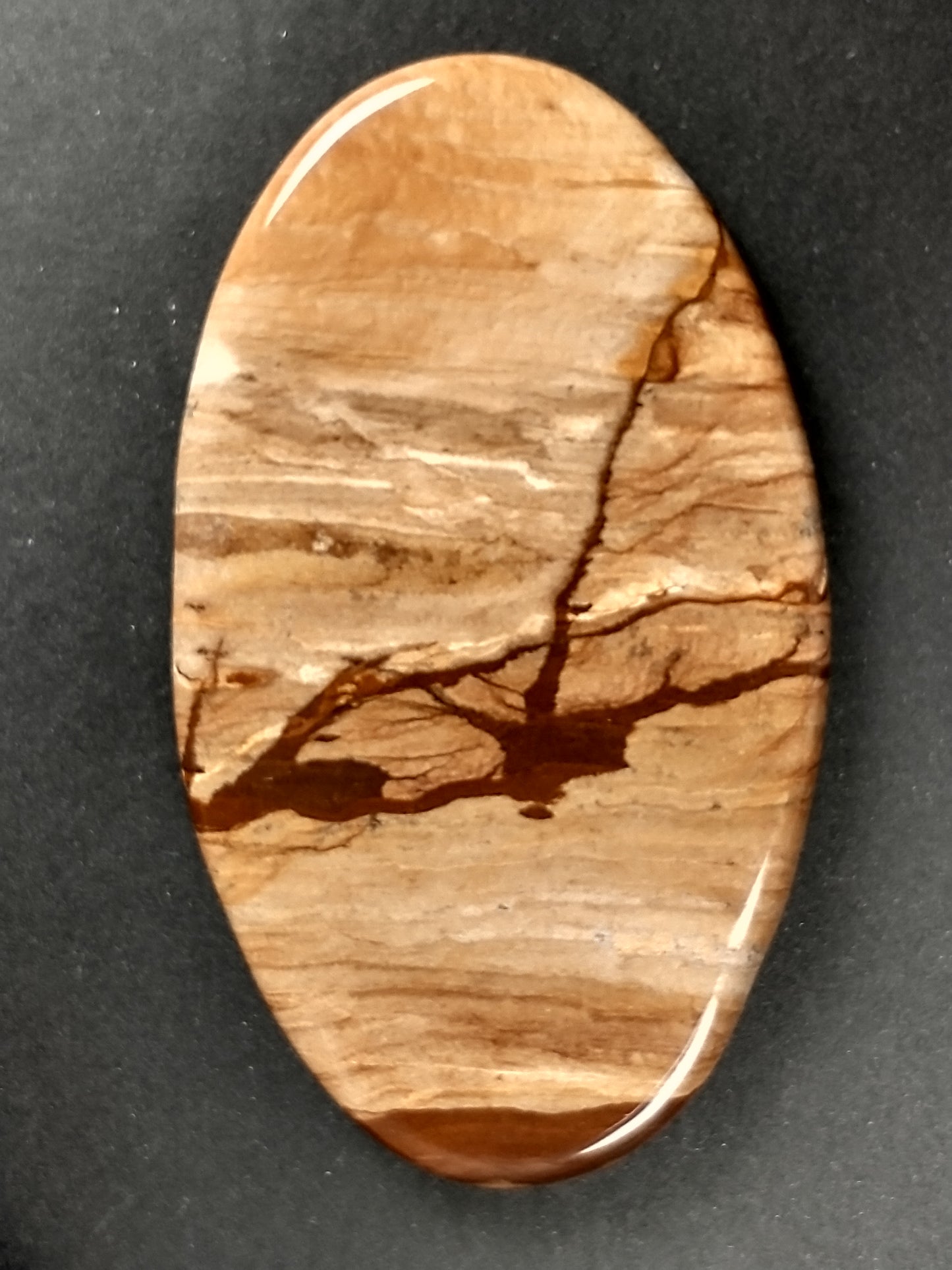 Biggs Jasper Cabochon X Large