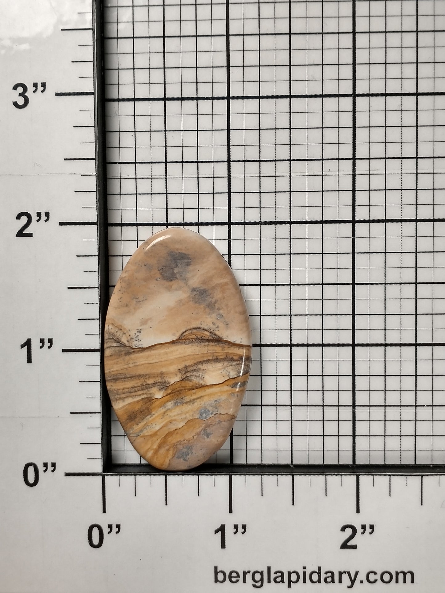 Biggs Jasper Cabochon Medium