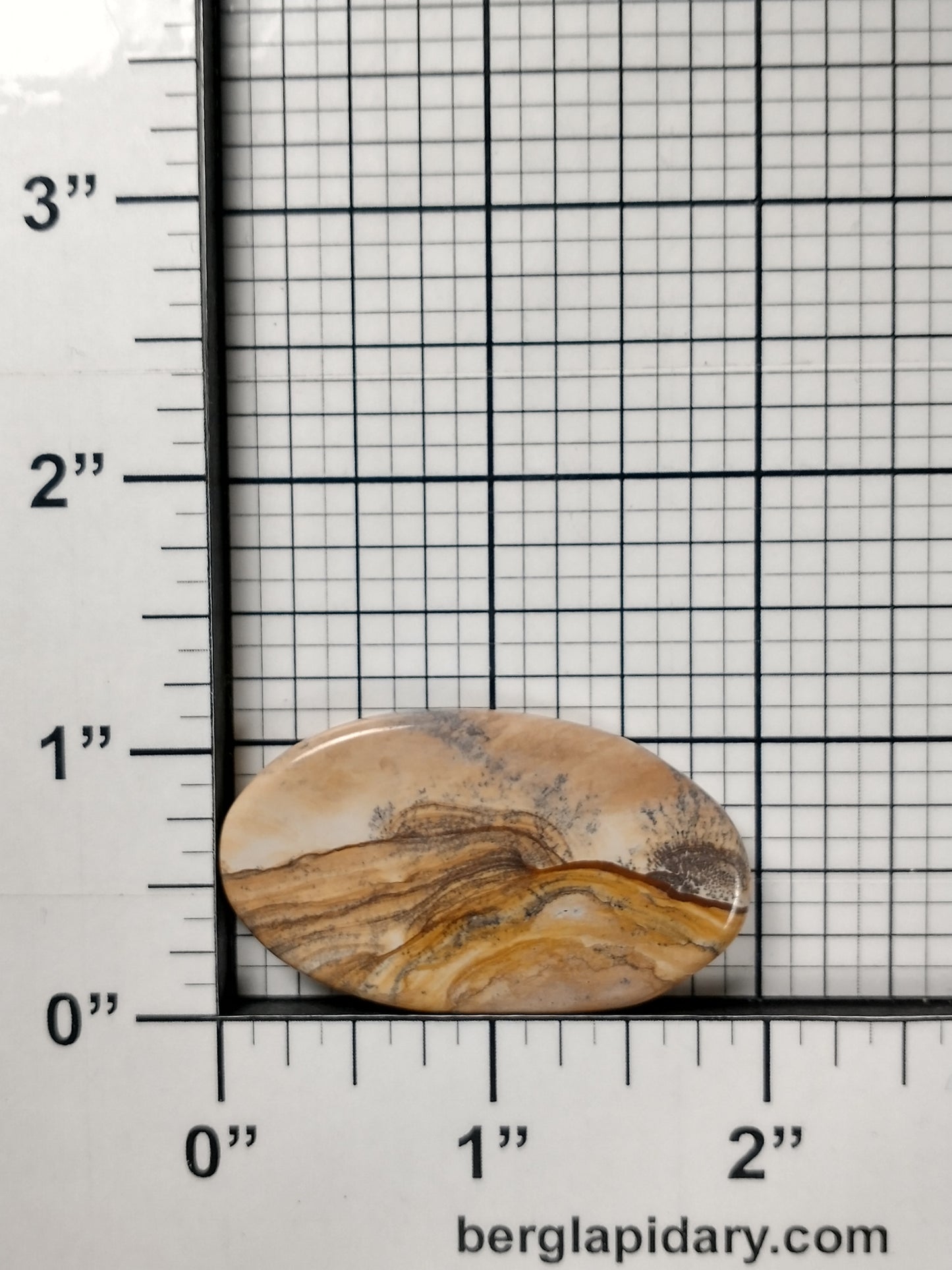 Biggs Jasper Cabochon Medium