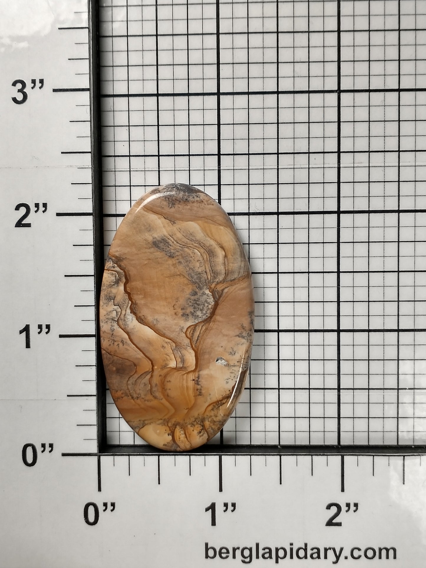 Biggs Jasper Cabochon Large