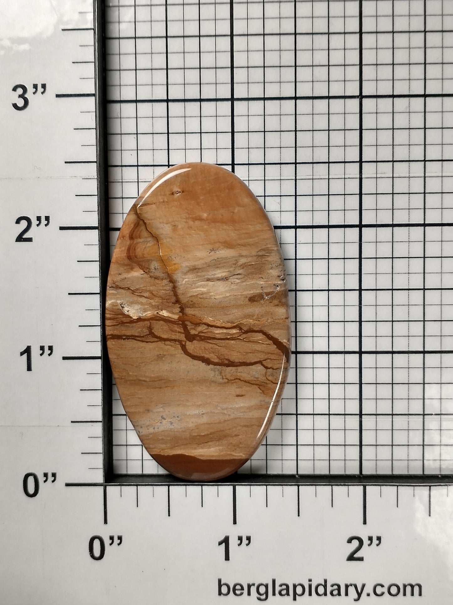 Biggs Jasper Cabochon X Large