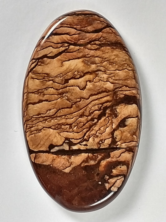 Beers Mountain Jasper Cabochon Large