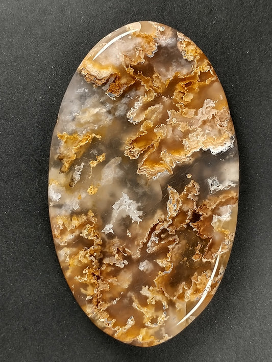 Plume Agate Cabochon Large