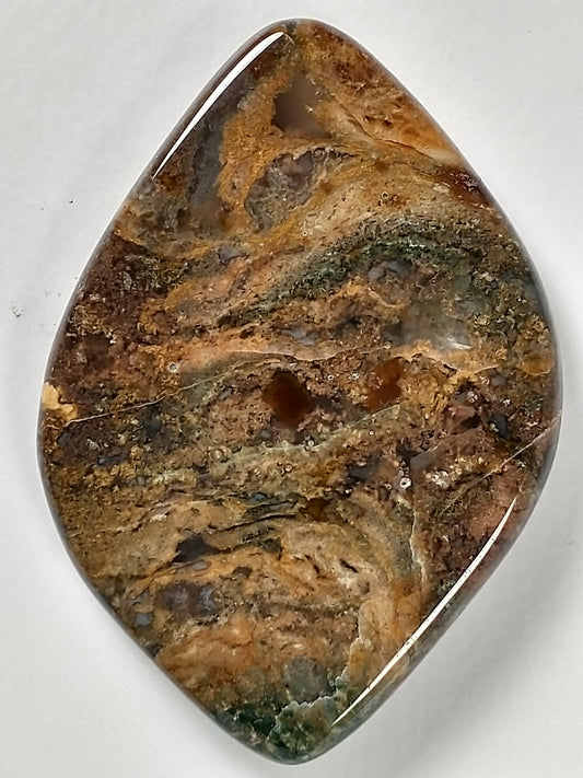 Petrified Wood Cabochon Medium