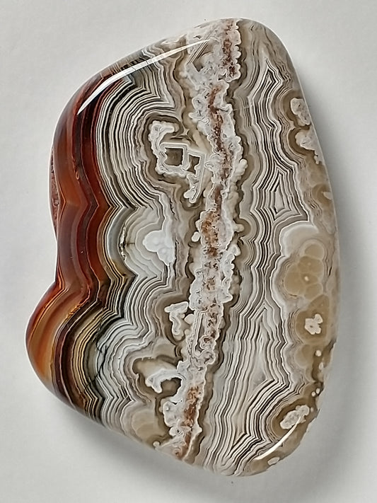 Crazy Lace Agate Cabochon Medium