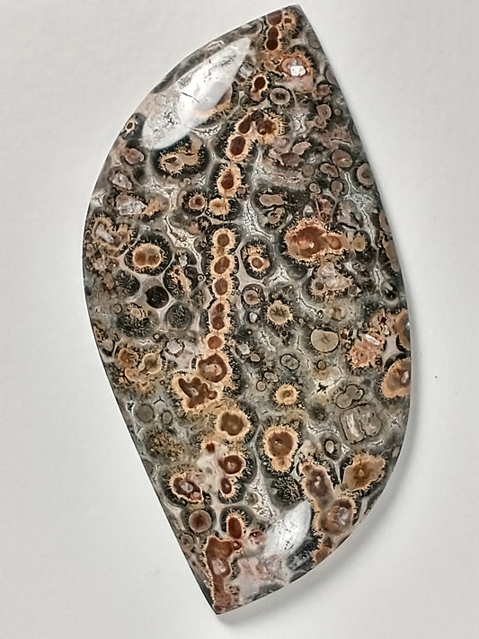 Leopard Skin Jasper Cabochon Large