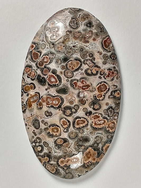 Leopard Skin Jasper Cabochon Large
