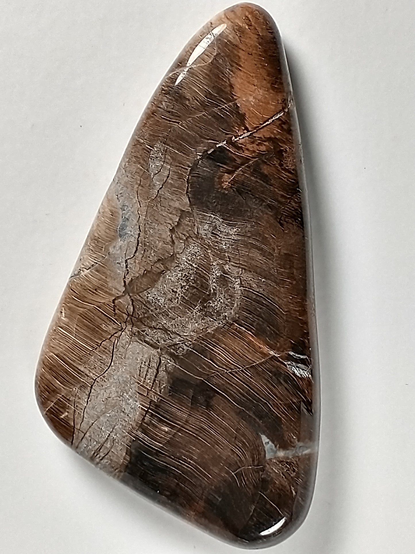 Petrified Wood Cabochon Large