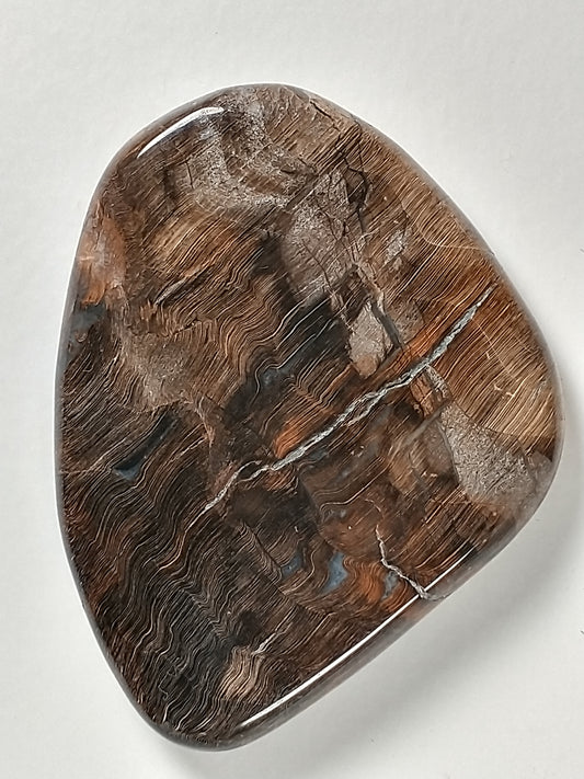 Petrified Wood Cabochon Large