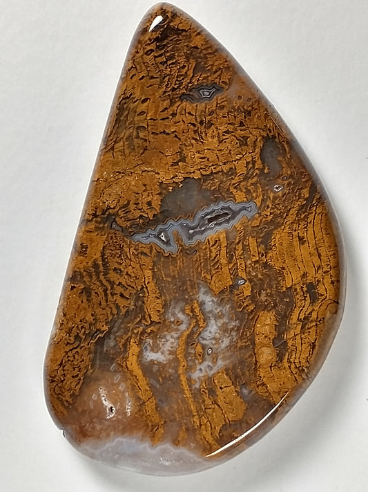 Petrified Wood Cabochon Large